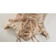 Blood Supply Cupid's Casket of Poems Heart Chest Rococo Corset Top(Full Payment Without Shipping)